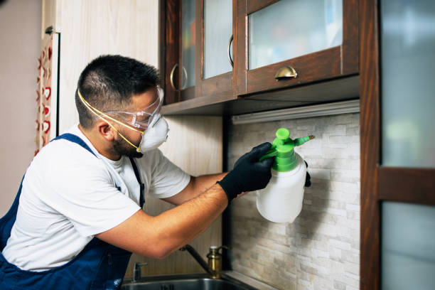  Grosse Pointe Woods, MI Pest Control Pros