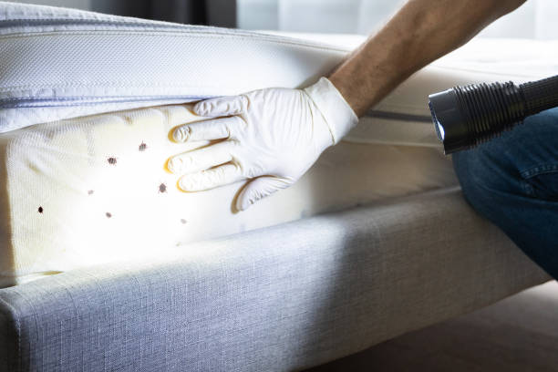 Best Wildlife Control Services  in Grosse Pointe Woods, MI