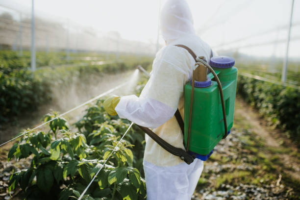 Best Affordable Pest Control Services  in Grosse Pointe Woods, MI